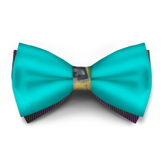 Papion Scuba Blue Saten - Papioane create in Laborator