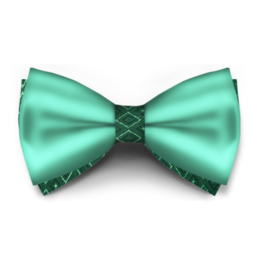 Papion Aquamarine