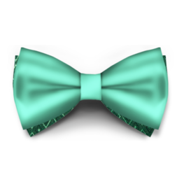 Papion Aquamarine