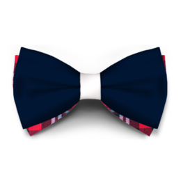 Papion Bleumarin