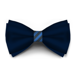 Papion Bluemarin Saten