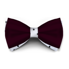 Papion Bordo