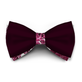 Papion Bordo