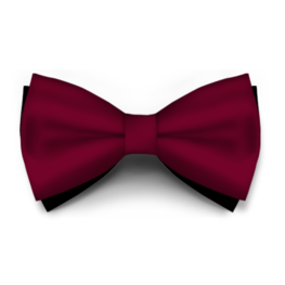 Papion Bordo Saten
