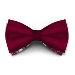 Papion Bordo Saten