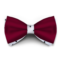 Papion Bordo Saten