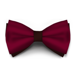 Papion Bordo Saten
