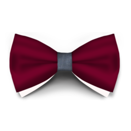 Papion Bordo Saten