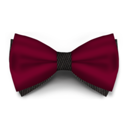 Papion Bordo Saten