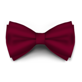 Papion Bordo Saten