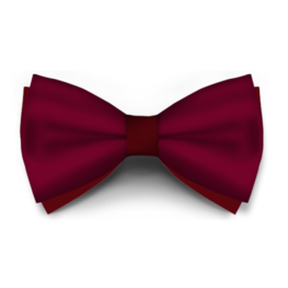 Papion Bordo Saten
