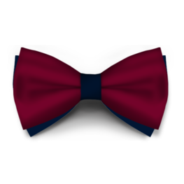 Papion Bordo Saten