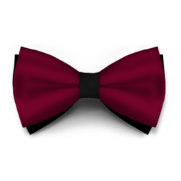 Papion Bordo Saten