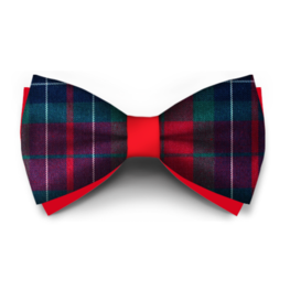 Papion Carouri Bordo Verde Albastru