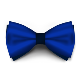 Papion Classic Blue