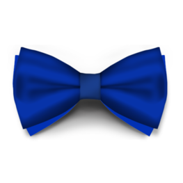 Papion Classic Blue