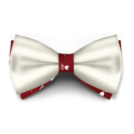 Papion Ivory