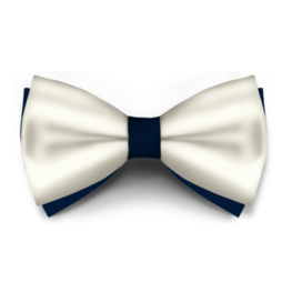 Papion Ivory