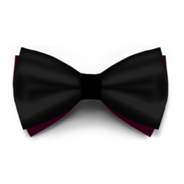Papion Negru Saten