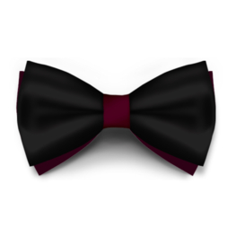 Papion Negru Saten