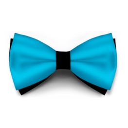 Papion Scuba Blue